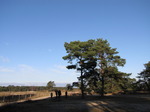 20091212 Walk through Soesterduinen